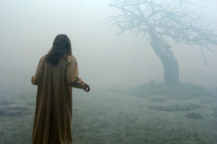 Emily Rose’s Real-Life Struggle: A True Story of Faith and Fear